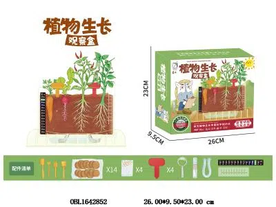 中英文版 植物生长观察盒_OBL1642852