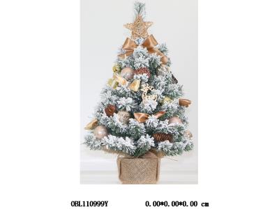 $item.NameEn_OBL110999Y