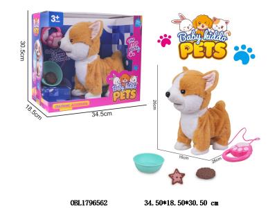 $item.NameEn_OBL1796562