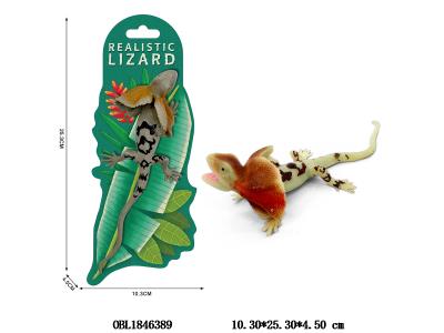 $item.NameEn_OBL1846389