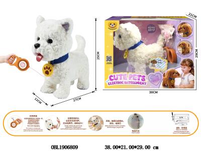 电动线控毛绒宠物 配USB线 3.7v锂电池包电_OBL1906809