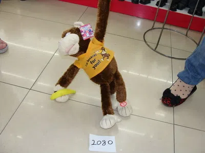 电动猴子_OBL292776