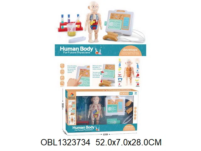 人体医生套装_OBL1323734